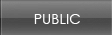 Public Public
